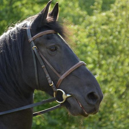 Na Konske Farme Leilighet Malecov Eksteriør bilde